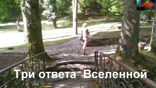 Три ответа Вселенной