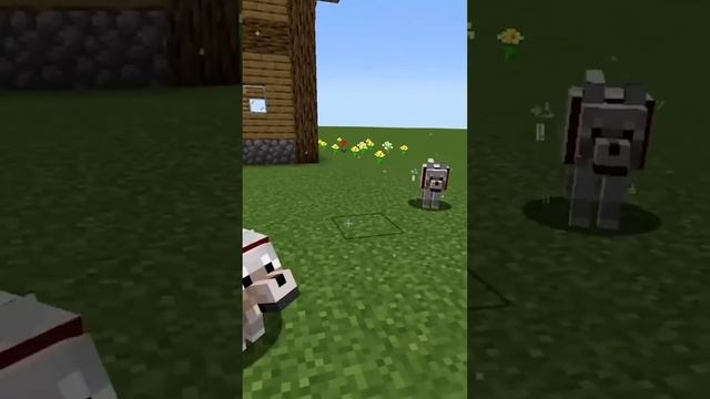 Super dog?? ? Super Dog? in #minecraft #shorts