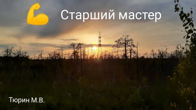 Стих про старшего мастера
юмор стихидлядуши стихиподмузыку