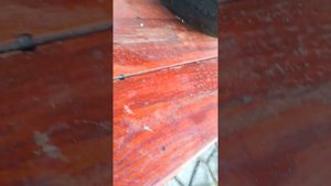 обзор на 100 жвачек с татуировками из светофора