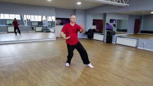 Янши Тайцзи-цюань стиль Ян "Поглаживание гривы дикой лошади". Тайцзи с доктором Бутримовым.