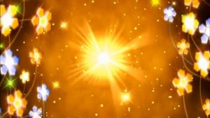 футаж -цветочный  орнамент