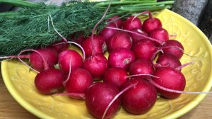 Салат с редиской, зеленым луком и сметаной | салаты | рецепты просто.mp4