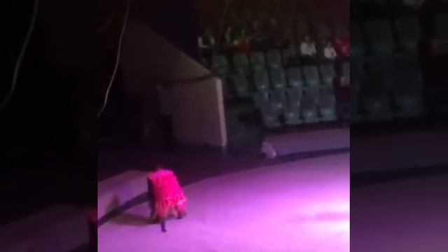 Качается на качелях Соня) смотреть онлайн