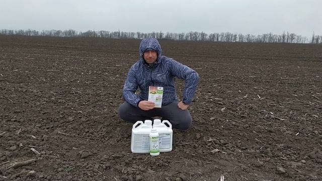 Стимулятор роста Регоплант на картофель с микроэлементами. Стимулятор росту на Картоплю Регоплант.