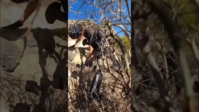 Va tan suave… смотреть онлайн