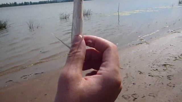 Говорящая чехонь смотреть онлайн