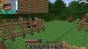 Майнкрафт ЗАГОН ДЛЯ ЛОШАДЕЙ, майнкрафт как приручить лошадь, Обучение как играть в minecraft # 22