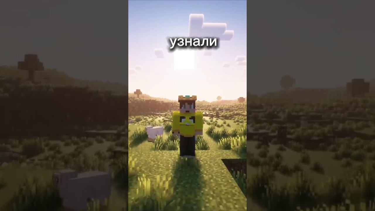 а во сколько узнал ты #minecraft #майнкрафт #приколы смотреть онлайн