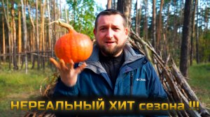 Я ДАЖЕ НЕ МОГ предположить, что ТЫКВА так здорово сочетается с мясом и картошкой!