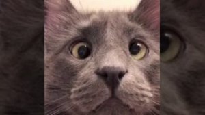 VID-20230303-WA0000.mp4