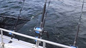 Trophy Striper / Rockfish Season 2021 on the Crack of Dawn