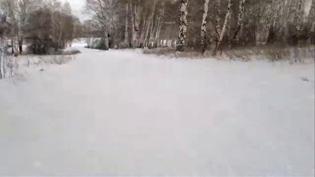 2014 785 покатушки 8 марта в лесу Новоильинского р на Новокузнецка смотреть онлайн