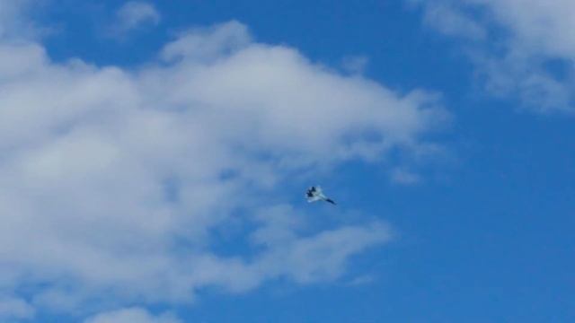 Ля Бурже над Аяксом смотреть онлайн