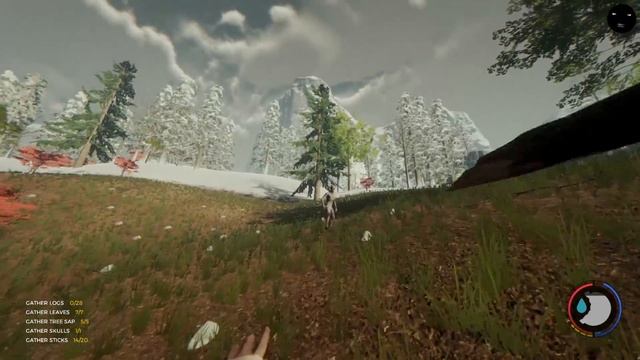 The Forest 0.66 Обзор Обновления | Как кататься на Черепашьим Панцире