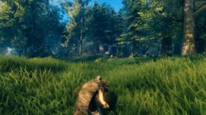 Willybach's HD Valheim - Mistlands Update Trailer / Kala - Danheim