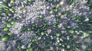 Природа Кузбасса