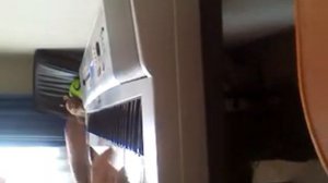 improvicacion en dgx 230 yamaha