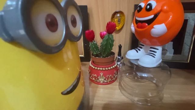 ЧТО ТАКОЕ КАКТУС?
