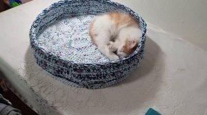 Лежанка для кота из трикотажной пряжи #вязание #лежанкакрючком #вязанаялежанка
