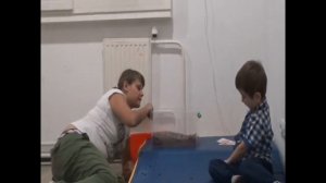 Первые занятия с ребенком с полевым поведением
