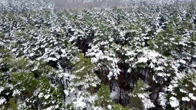 #22 Закарпатская область | Ищем плохие дороги.. и находим | Перевал | Опять чек | Дальнобой Украина смотреть онлайн