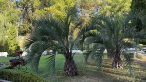 Лечение в санатории «Заполярье» Сочи