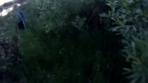 ОТДЫХ НА РЕЧКЕ В ПАЛАТКАХ, РЫБАЛКА С ЧИТАМИ, ЧЕЛЯБИНСК МАЙ, КОЕЛГА