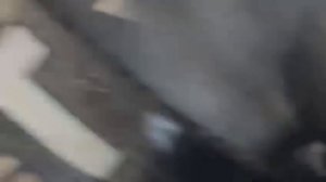 Voyah free 2022 - как найти номер двигателя