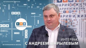 Интервью с Андреем Шкрылевым