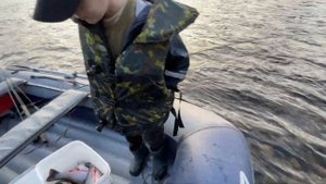 Традиционный выезд на рыбалку НАХЛЫСТОМ на реку Быстрая. Голец, Микижа, ХАРИУС в изобилии