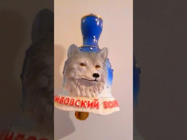 Тамбовский Волк охраняет холодильник! #волк #тамбовскийволк #магнитики