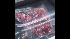 Вакуумный упаковщик Vortmax VM308