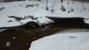 Snowfall in spring.   #russia #dji #nature #forest