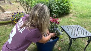 How I planted a part sun container of FLOWERS 🌸🌸🌸