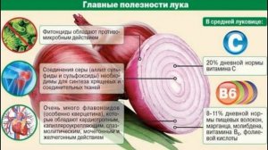 ??ПОЛЬЗА ЛУКА. ЛЕЧЕБНЫЕ СВОЙСТВА. ПРАЗДНИК ЛУКА
