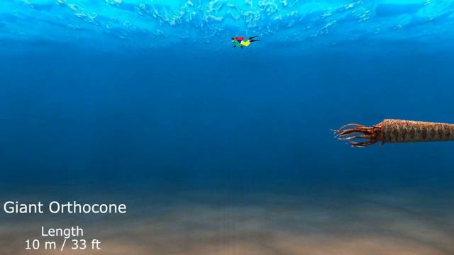 Sea Monsters Size Comparison смотреть онлайн