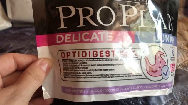 Чем питается шотландский кот смотреть онлайн