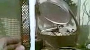 Проржавела микроволновка