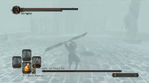 Dark Souls 2 - Invisible Aava, the King's Pet Boss Fight! [Challenge]
