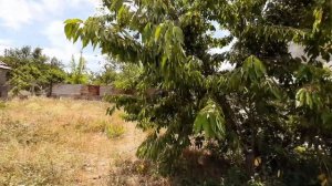 СРОЧНО ШОК ЦЕНА ) Купить НЕДОРОГО домик в Севастополе! Домик на дачах по цене участка на Фиоленте.