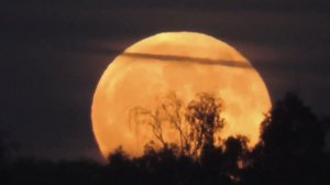 Самая большая Луна 2021 г. Суперлуние 26 мая .