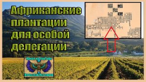 Африканские плантации для особой делегации. (Л.Д.О. 194 часть.) Вячеслав Котляров.
