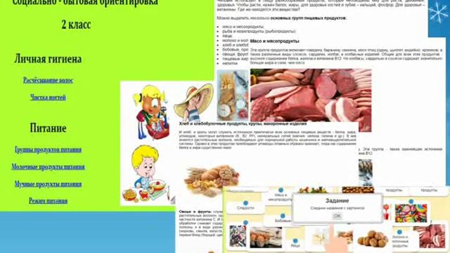 Видео-кейс ЭОР в специальном образовании "Социально-бытовая ориентировка 2 класс" смотреть онлайн