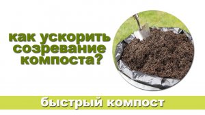 Как ускорить созревание компоста?