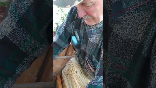 Отводок на Карнике смотреть онлайн