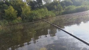 Здесь ОЧЕНЬ голодная ЩУКА! Рыбалка в Курской области. ЩУКА на СПИННИНГ.