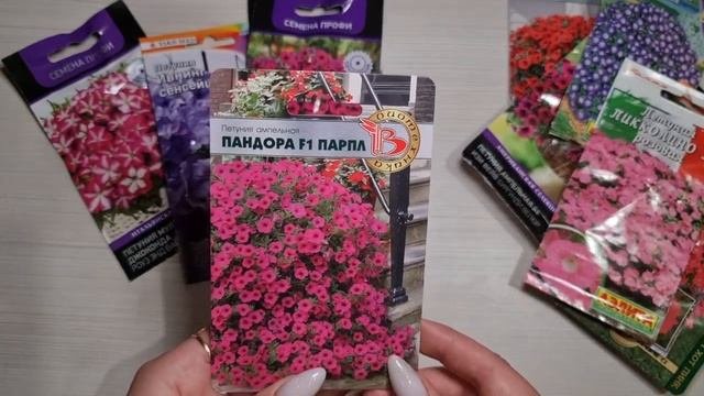 Хотите ШИКАРНЫЕ ПЕТУНИИ? Выбирайте ЭТИ сорта! Цветут ШАПКОЙ ВСЁ ЛЕТО и НЕ БОЯТСЯ ДОЖДЯ!