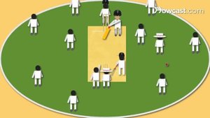 How to Play Cricket