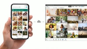 Photoshop Elements Web and Mobile (Beta) companion apps